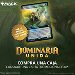 Collector - Dominaria United